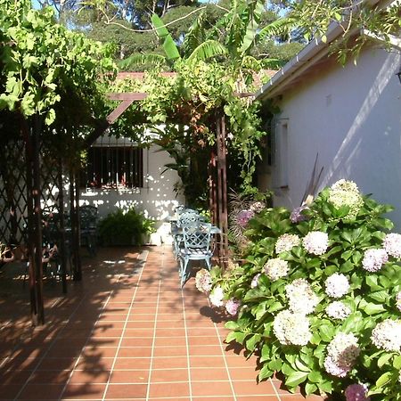 Vine Guesthouse Stellenbosch Exteriér fotografie