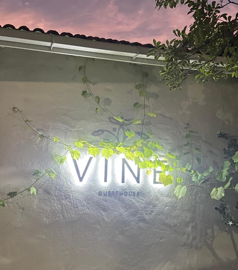 Vine Guesthouse Stellenbosch Exteriér fotografie