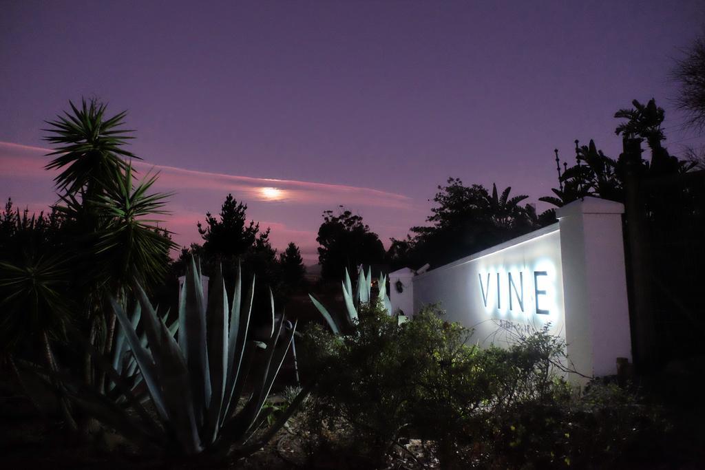 Vine Guesthouse Stellenbosch Exteriér fotografie