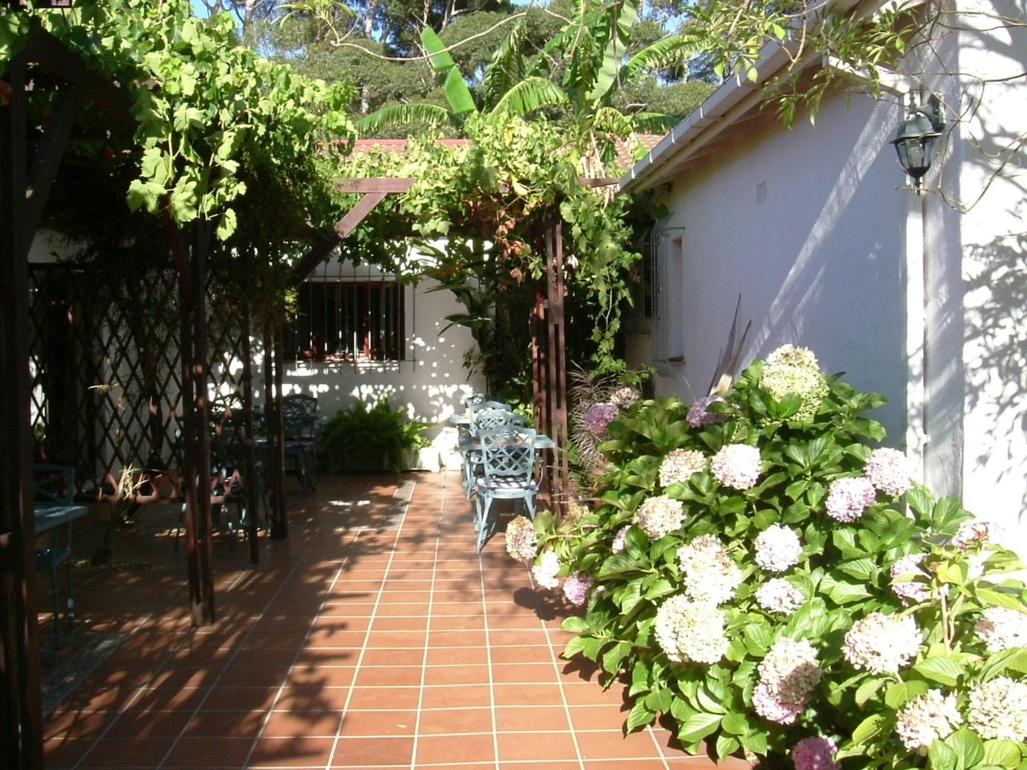 Vine Guesthouse Stellenbosch Exteriér fotografie