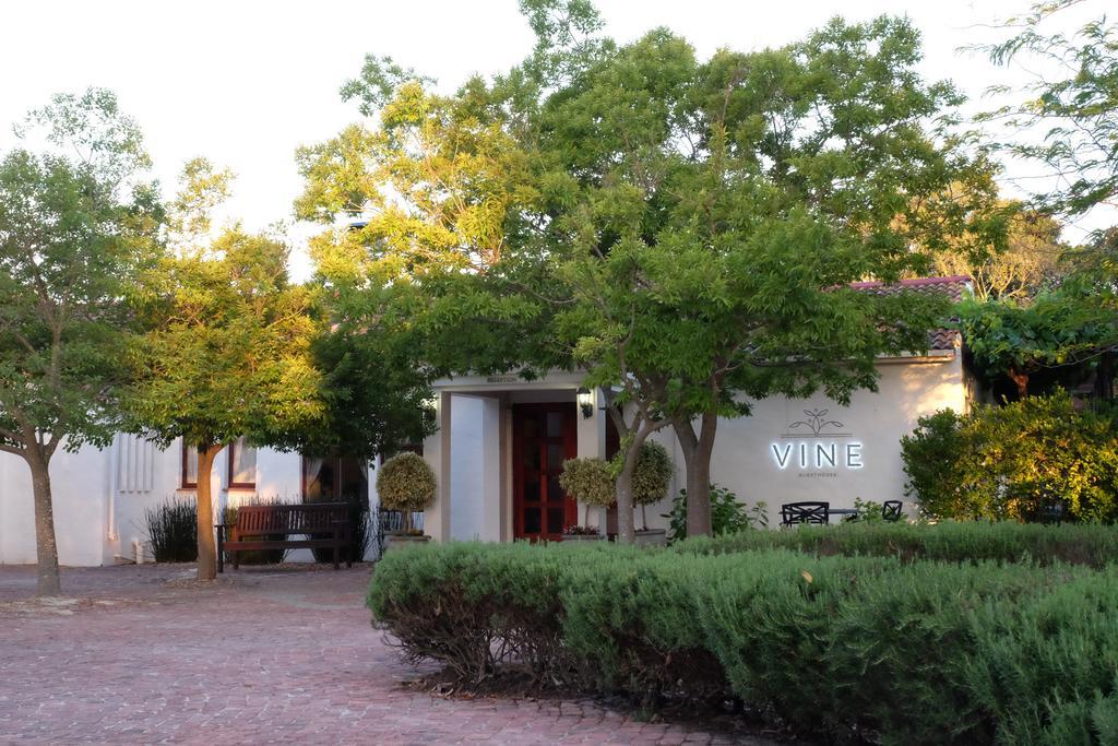 Vine Guesthouse Stellenbosch Exteriér fotografie