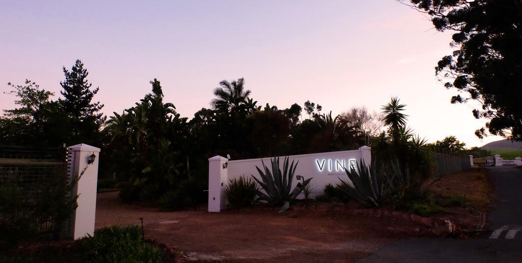 Vine Guesthouse Stellenbosch Exteriér fotografie