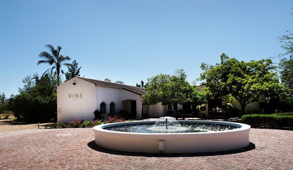 Vine Guesthouse Stellenbosch Exteriér fotografie