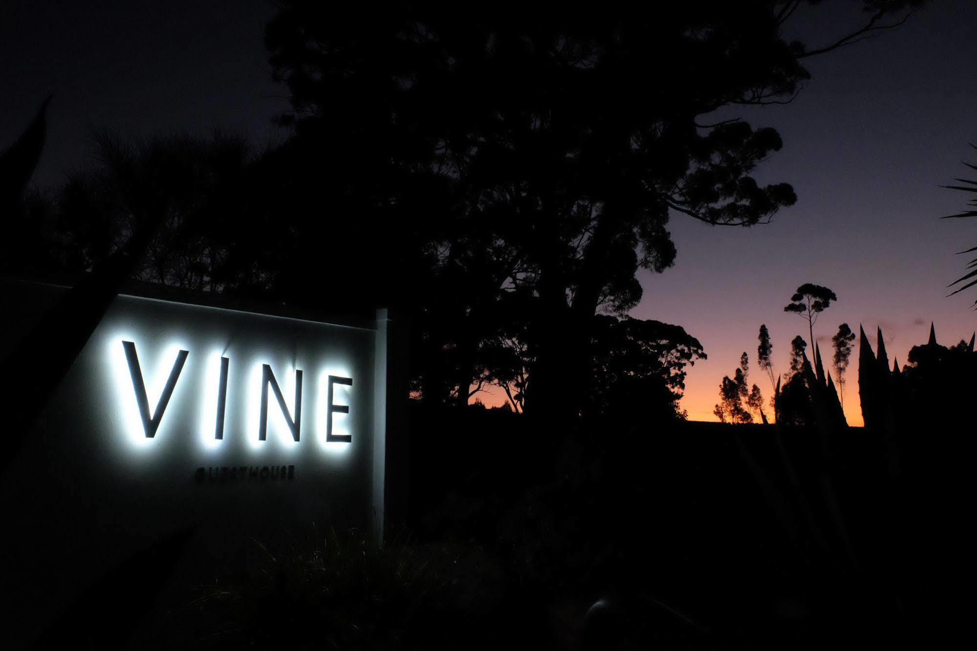 Vine Guesthouse Stellenbosch Exteriér fotografie