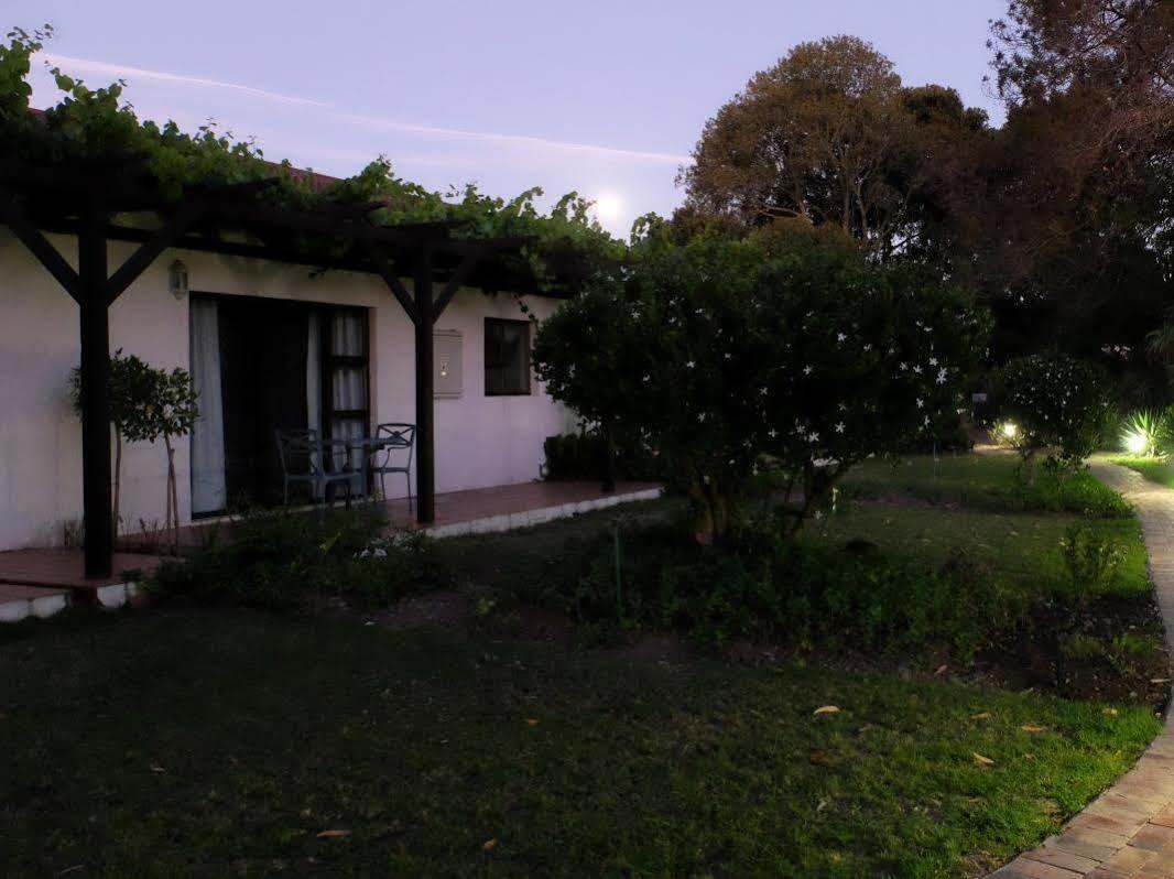 Vine Guesthouse Stellenbosch Exteriér fotografie